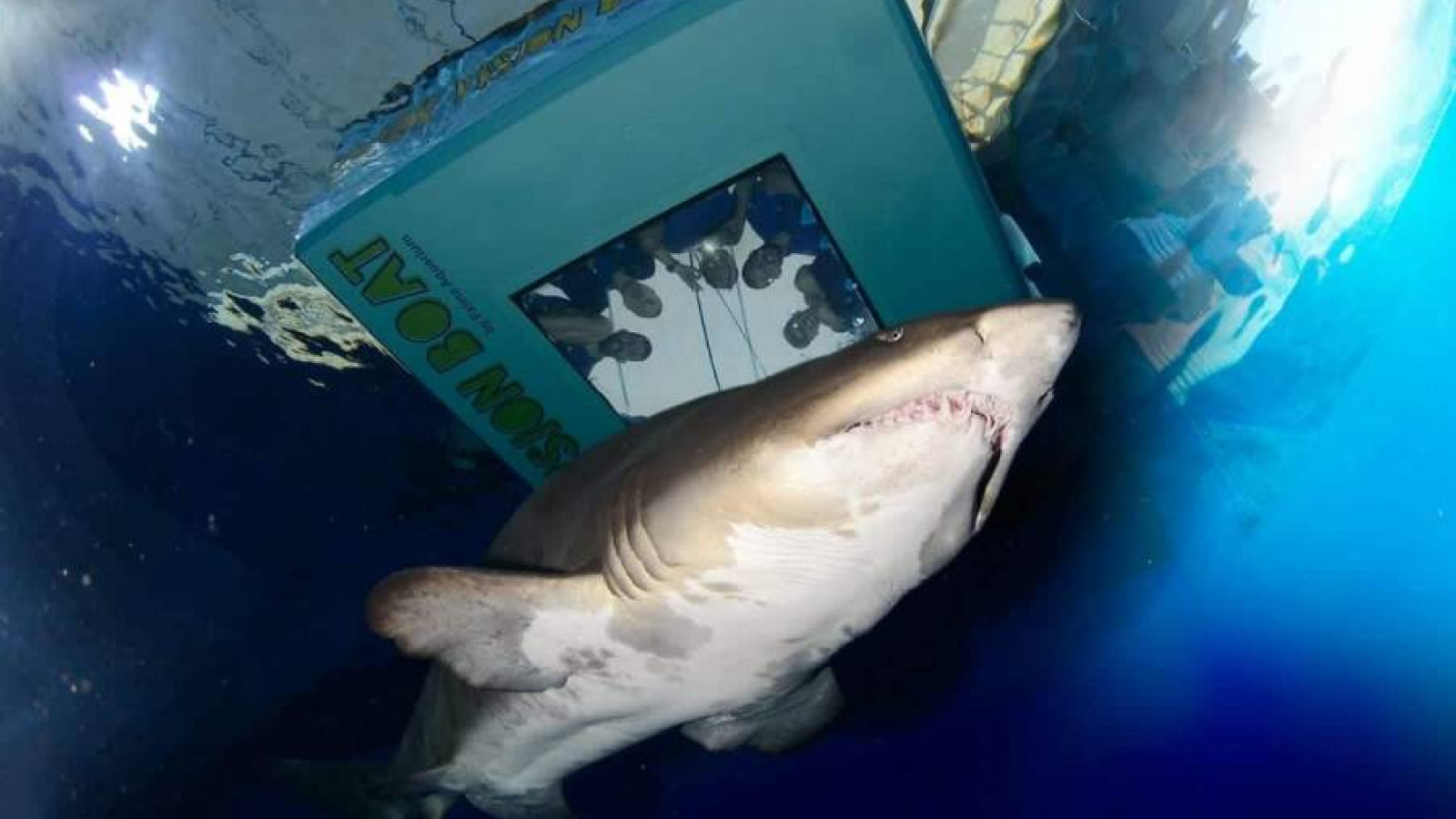 Guide to visiting the Palma de Mallorca Aquarium