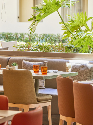 Zafirotropic Buffet