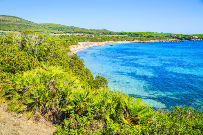 Palmanovabeach