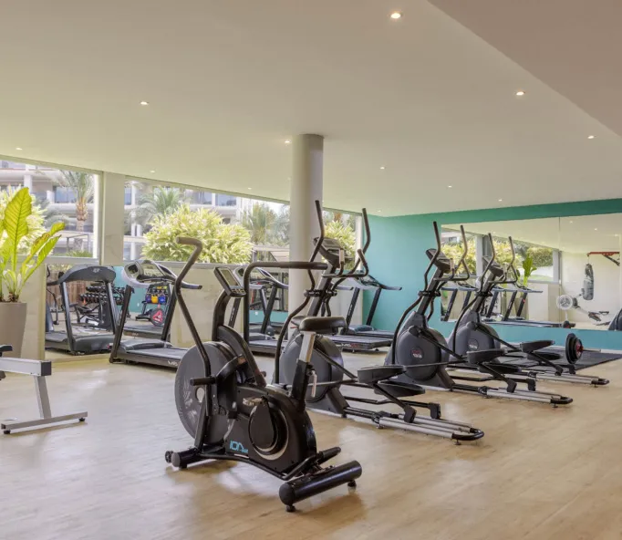 Zafiropalacepalmanova Gym