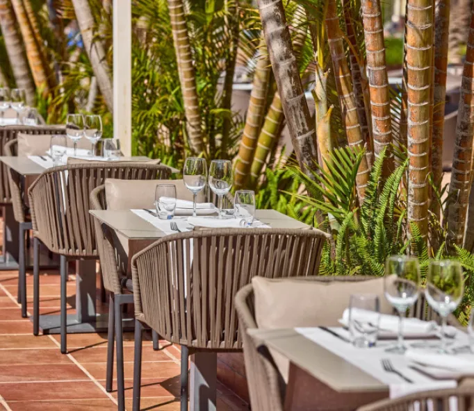 Zafiro Rey Don Jaime