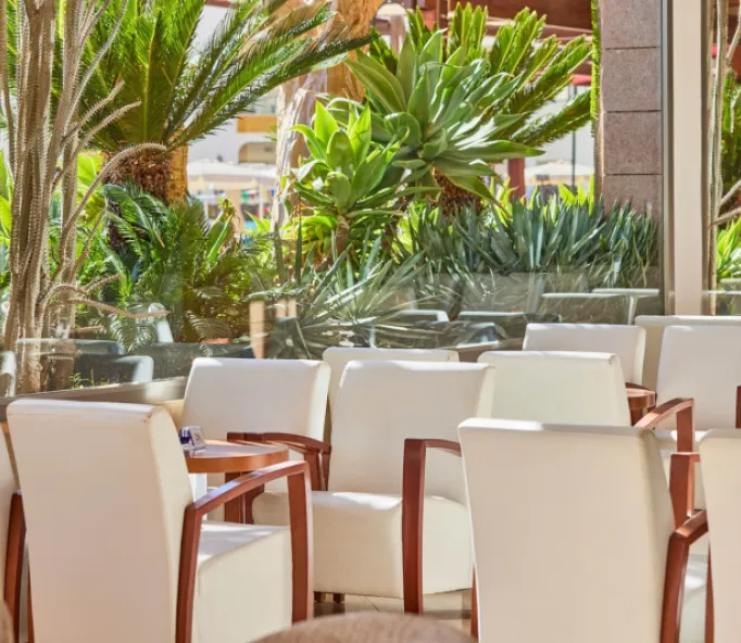 Zafirotropic Cafeteria Exteriores